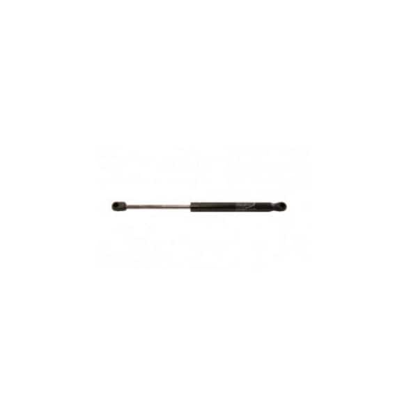 Gs06-0300Pe10-061  Gas Spring